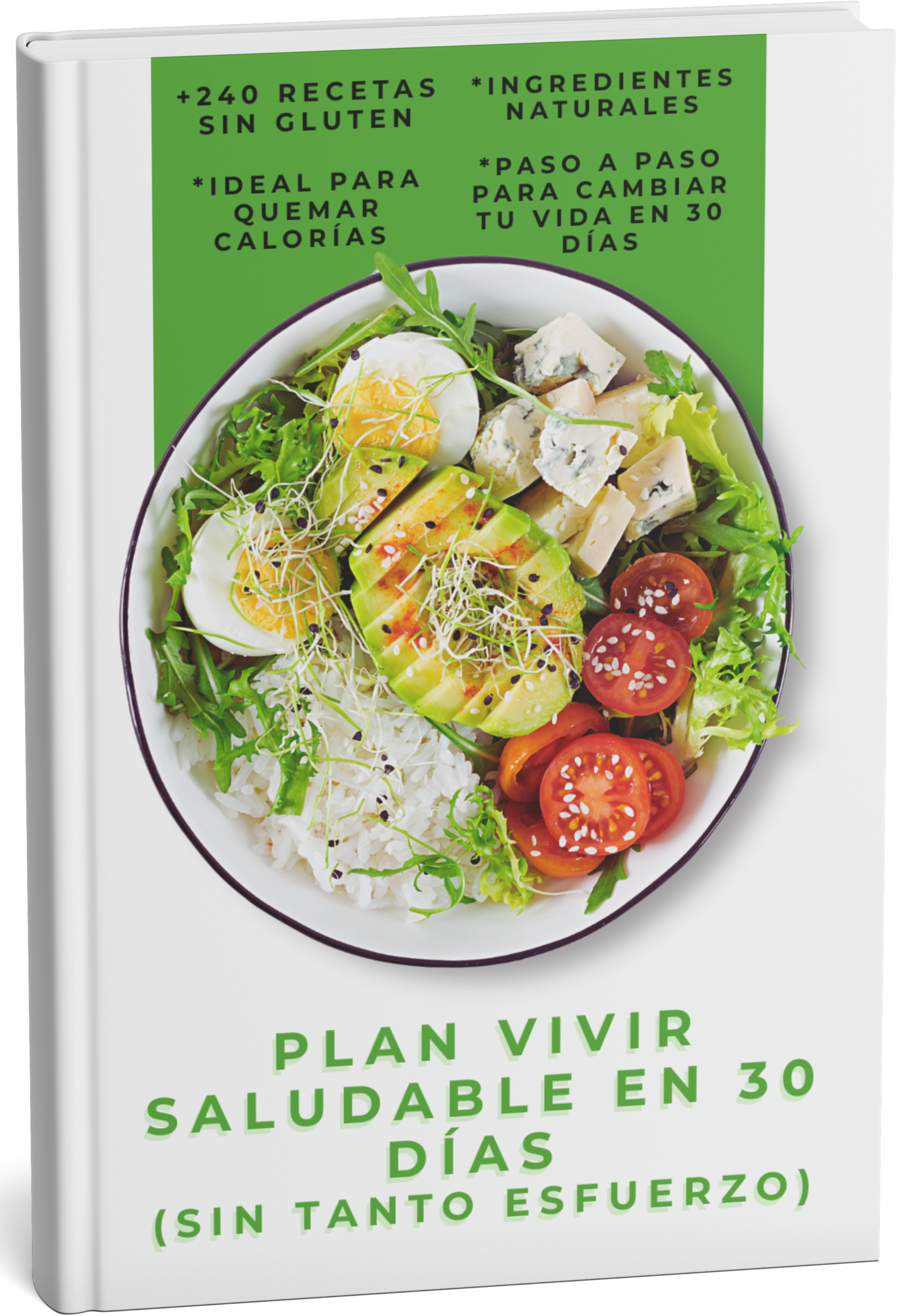 PLAN VIVIR SALUDABLE EN 30 DÍAS +240 RECETAS